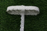 White Organza Net  With Sequence Lace