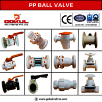 PP Butterfly Valve