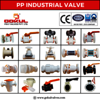 PP Diaphragm Flange End Valve