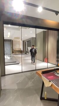 Switchable dgu partition glass