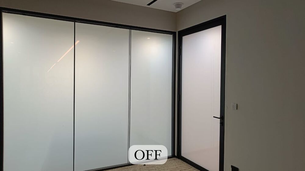 Switchable dgu partition glass