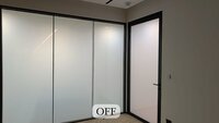 Switchable dgu partition glass