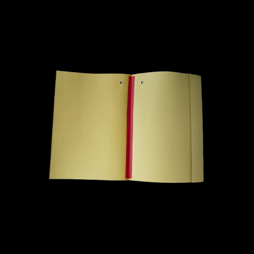 Record File -900 - Feature: Eco-friendly