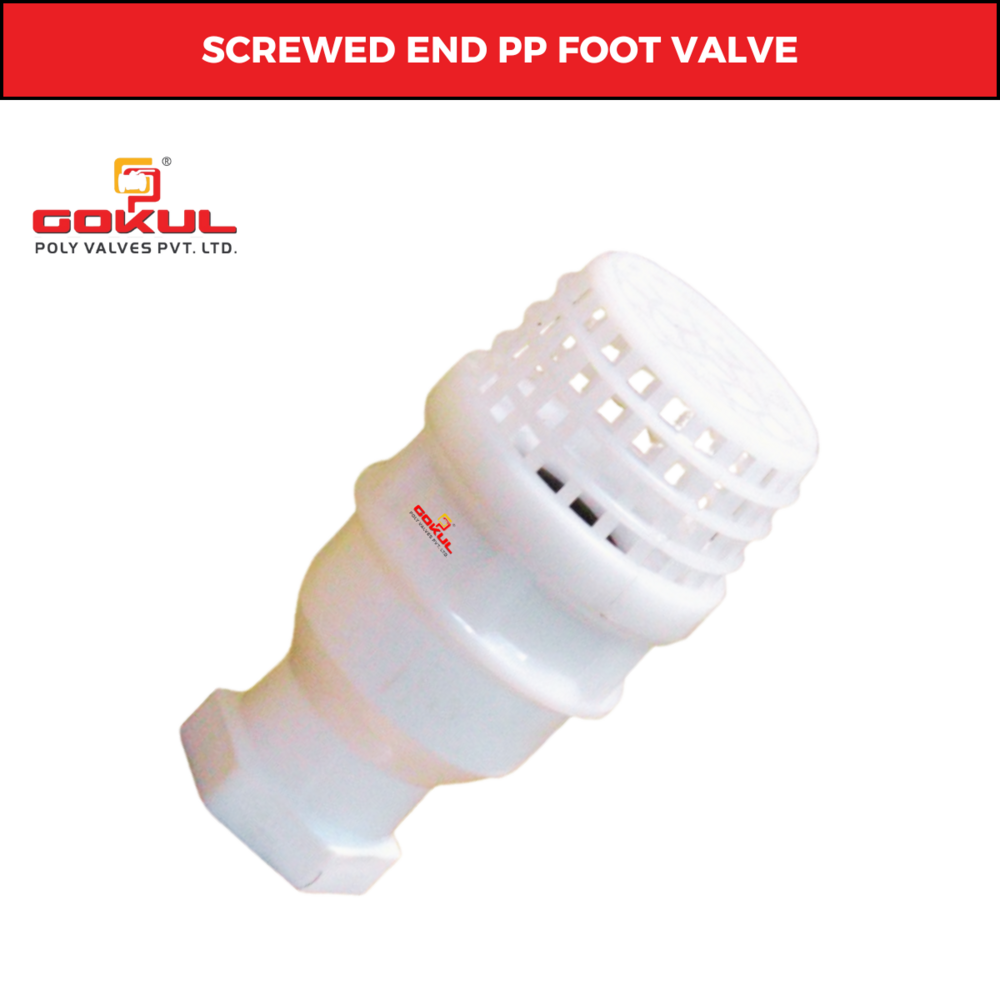 PP FLANGED FOOT VALVE