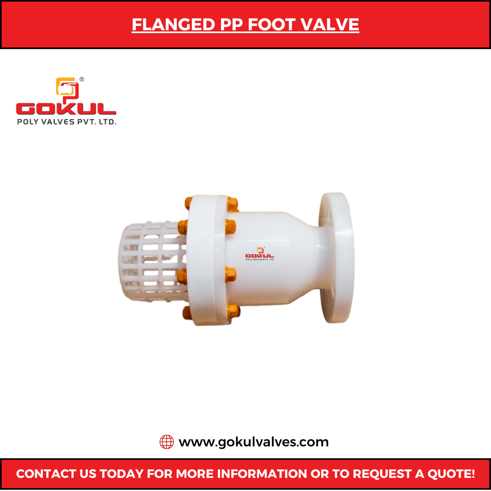 PP FLANGED FOOT VALVE