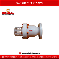 PP FLANGED FOOT VALVE