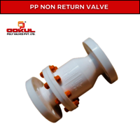 PP FLANGED FOOT VALVE