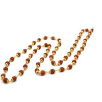 Rudraksha Beads Pooja Mala - Color: As Per Availability