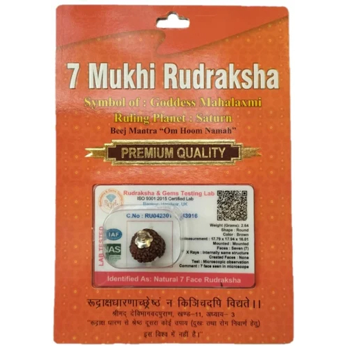 7 Mukhi Rudraksha Beads