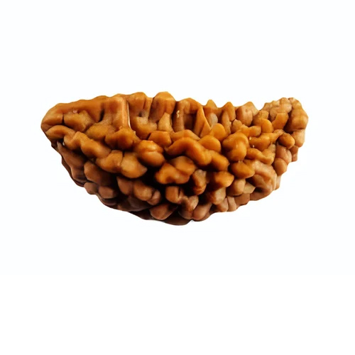 1 Mukhi Kaju Dana Rudraksha Beads