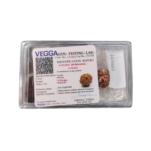 Brown 4 Mukhi Natural Rudraksha