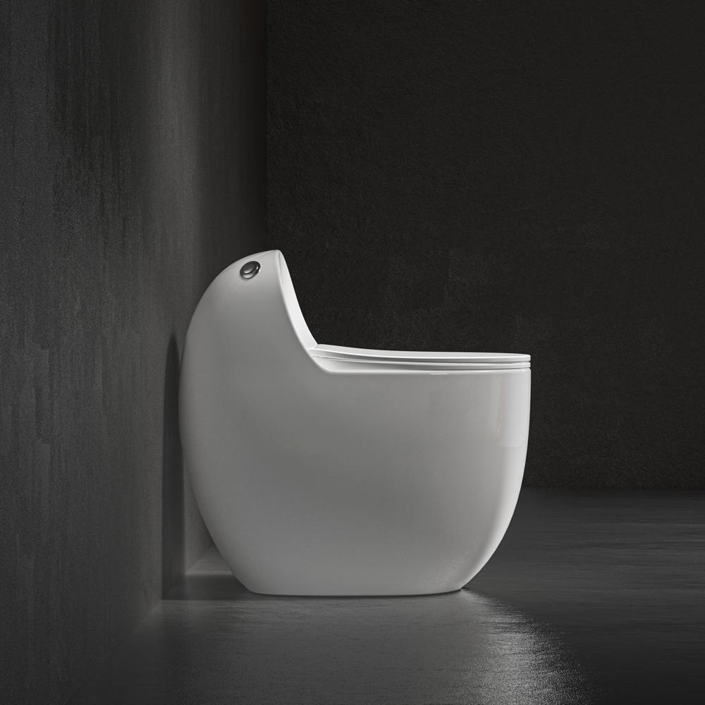 Ceramic One piece Toilet ( White Glossy imported)