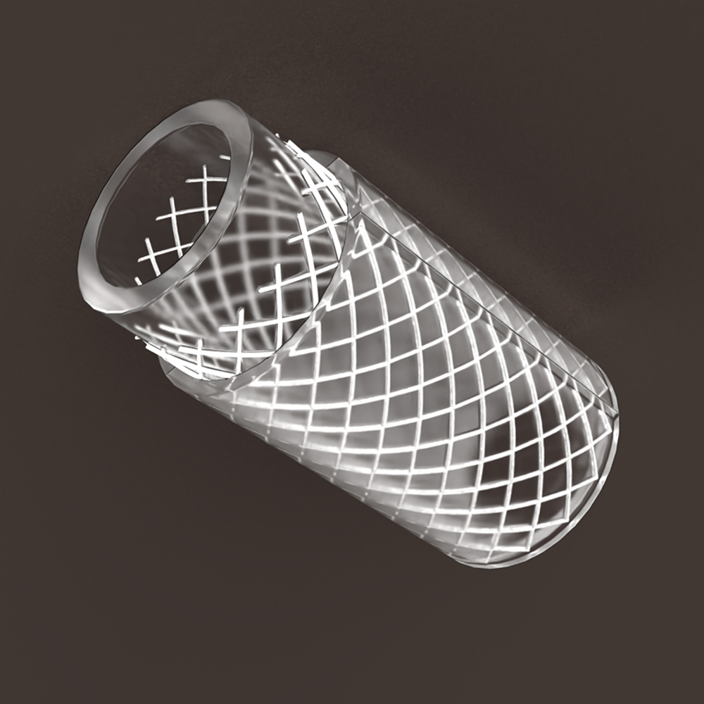 Transparent Braided Hose (LBR) 19 mm 