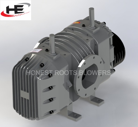 Twin Lobe Roots Air Blower