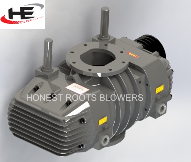 Twin Lobe Roots Air Blower