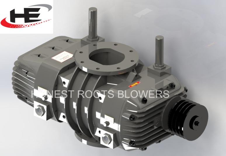 Twin Lobe Roots Air Blower