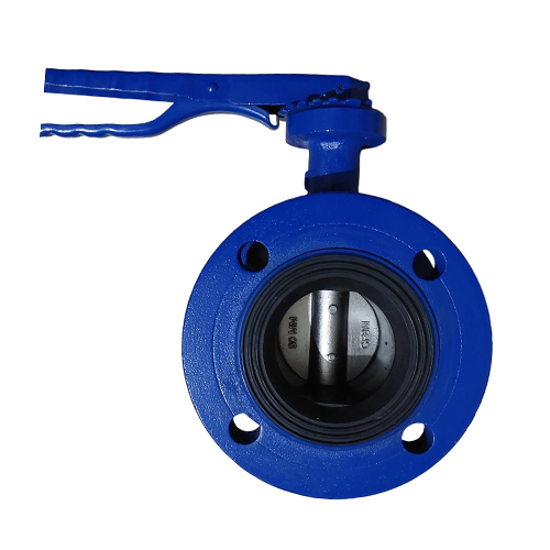 CI Butterfly Valve