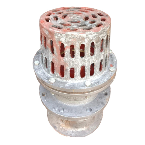 Cast Iron Flanged Foot Valve - Features: High Quality