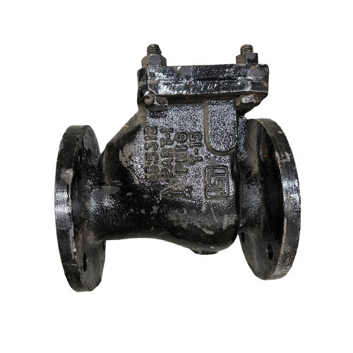 Ci Flange Non Return Valve - Application: Industrial