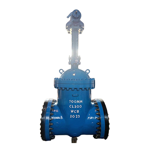 Steel Flange