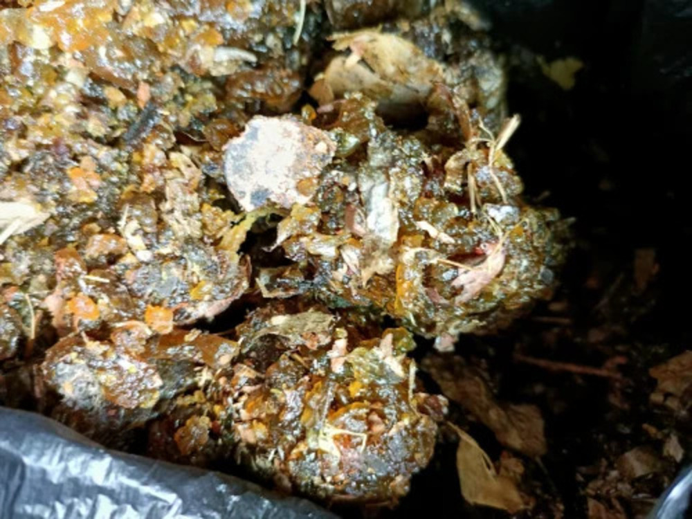 Rajasthani Guggul Gum - Age Group: Suitable For All