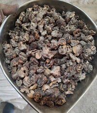 Seedless Organic Dry Amla