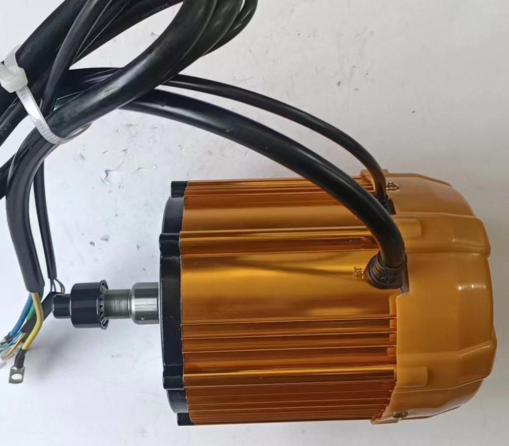 120 BLDC 48V 1000W RPM 3100 Rickshaw Motor