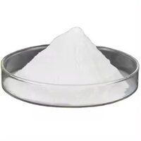 Croscarmellose sodium or CCS