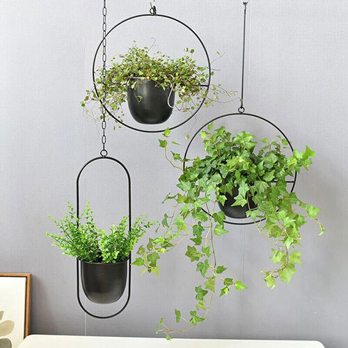 Iron Hanging Planter - Color: Black