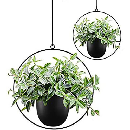 Iron Hanging Planter