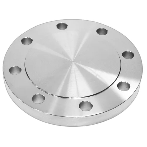 9 Inch Stainless Steel Blind Flanges - Color: Silver