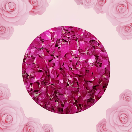 Dry Pink Rose Petals