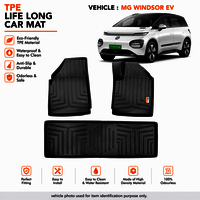 WINDSOR EV  CAR MAT