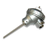 Industrial RTD Thermocouple