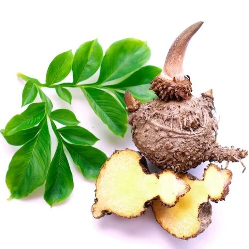 95 Percent Konjac Glucomannan Extract Powder