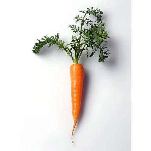 Beta Carotene 2Percent Extract Powder