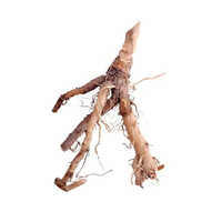 Chicory Root Powder