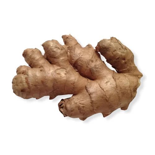 Ginger 5 Percent Zingiber Officinale Extract Powder