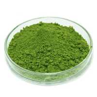 Green Tea Powder