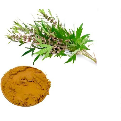 Motherwort Herb Extract