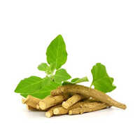 Ashwagandha Extract Powder