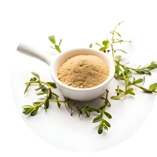 Organic Bacopa monnieri extract