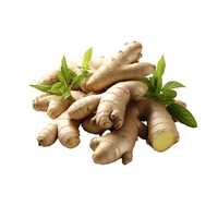 Organic Ginger extract