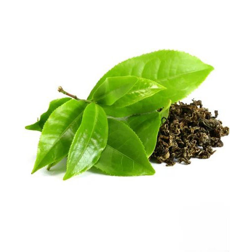 Organic Green Tea Extract