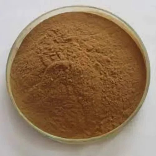 Kelp Extract Bladder Wrack