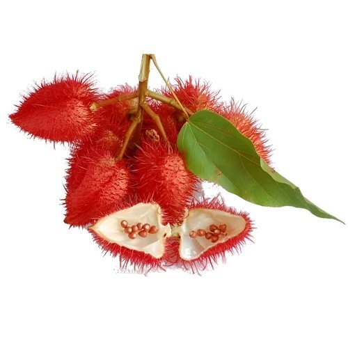 Annatto Seed Powder