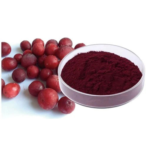 Cranberry Extract Powder By Gracious Organic Llp