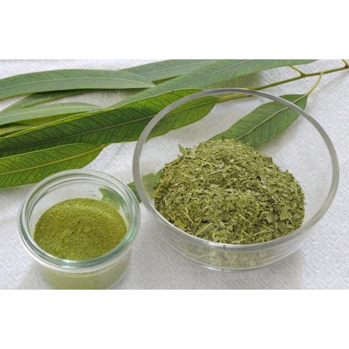 Eucalyptus Citriodora Powder