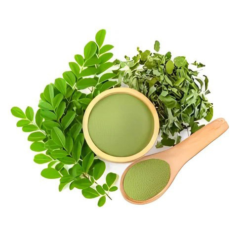 Moringa Oleifera Leaf Powder