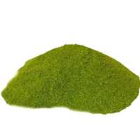 Neem Extract Powder